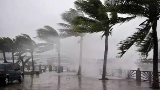 8月臺(tái)風(fēng)雨即將來(lái)，除濕機(jī)還得用起來(lái)