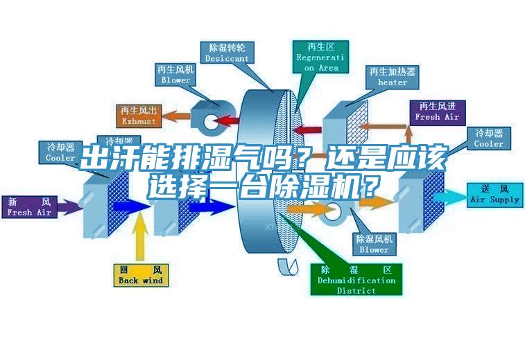 出汗能排濕氣嗎？還是應(yīng)該選擇一臺除濕機？