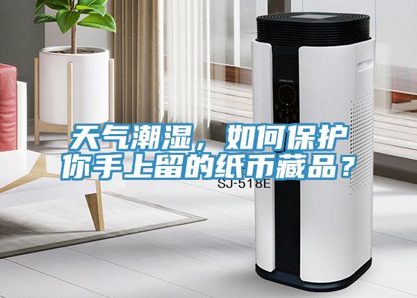 天氣潮濕，如何保護(hù)你手上留的紙幣藏品？