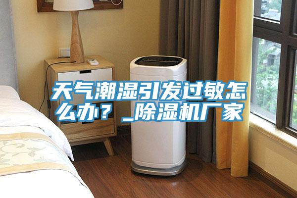 天氣潮濕引發(fā)過敏怎么辦？_除濕機(jī)廠家