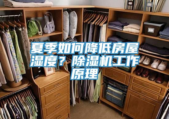 夏季如何降低房屋濕度？除濕機(jī)工作原理