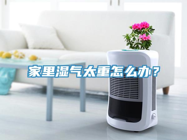 家里濕氣太重怎么辦？