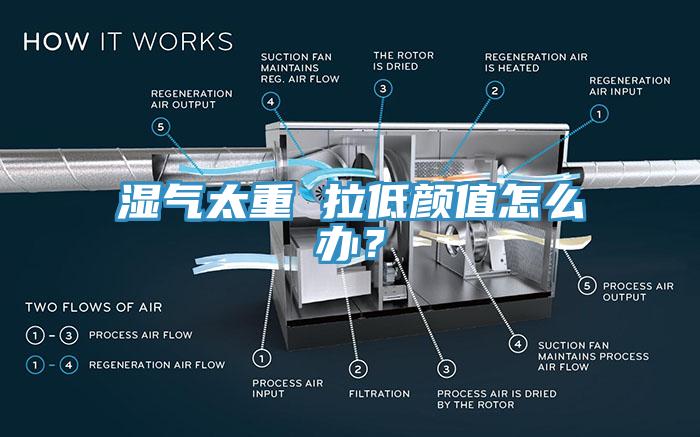 濕氣太重 拉低顏值怎么辦？