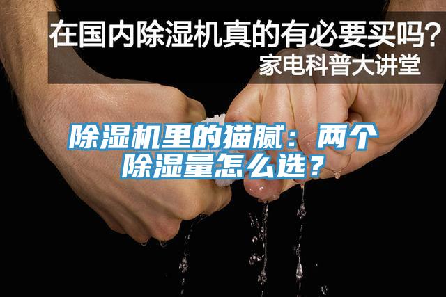 除濕機(jī)里的貓膩：兩個(gè)除濕量怎么選？