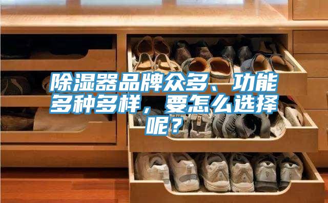 除濕器品牌眾多、功能多種多樣，要怎么選擇呢？