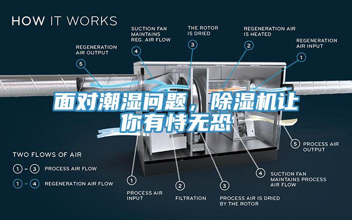 面對(duì)潮濕問題，除濕機(jī)讓你有恃無恐