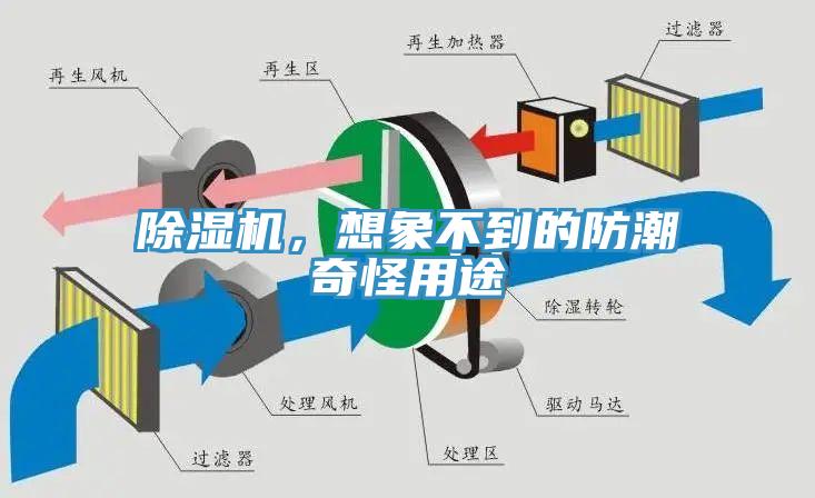 除濕機(jī)，想象不到的防潮奇怪用途