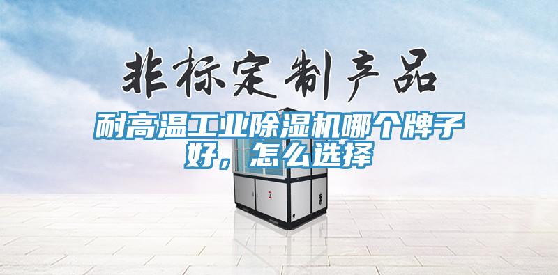 耐高溫工業(yè)除濕機哪個牌子好，怎么選擇