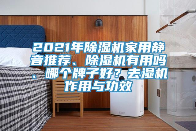 2021年除濕機(jī)家用靜音推薦、除濕機(jī)有用嗎、哪個(gè)牌子好？去濕機(jī)作用與功效