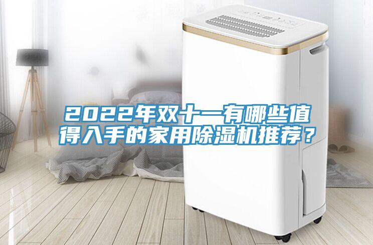 2022年雙十一有哪些值得入手的家用除濕機(jī)推薦？