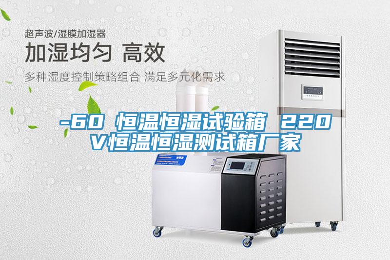 -60℃恒溫恒濕試驗(yàn)箱 220V恒溫恒濕測(cè)試箱廠家