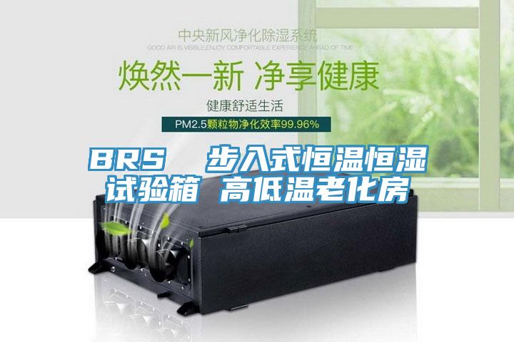 BRS  步入式恒溫恒濕試驗(yàn)箱 高低溫老化房