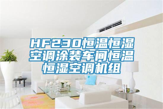 HF230恒溫恒濕空調(diào)涂裝車間恒溫恒濕空調(diào)機組