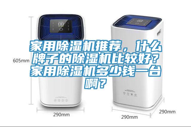 家用除濕機(jī)推薦，什么牌子的除濕機(jī)比較好？家用除濕機(jī)多少錢一臺(tái)??？