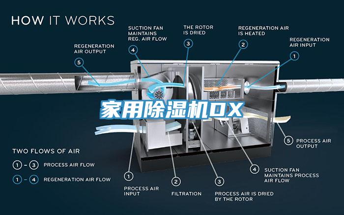 家用除濕機(jī)DX