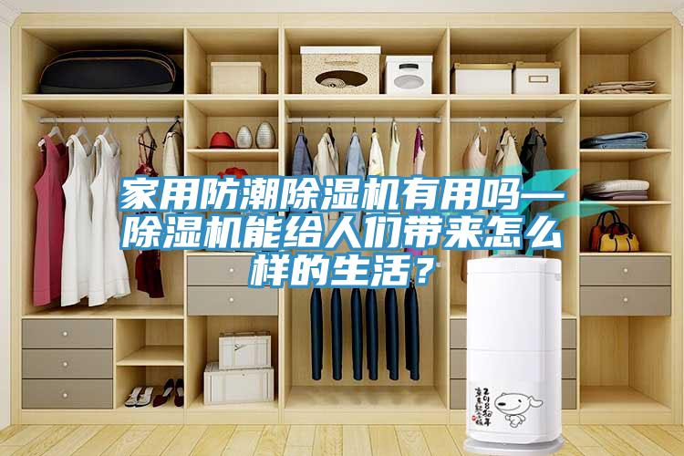 家用防潮除濕機有用嗎—除濕機能給人們帶來怎么樣的生活？