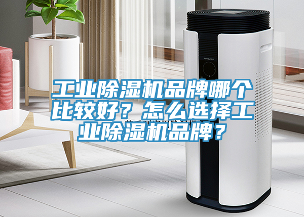 工業(yè)除濕機品牌哪個比較好？怎么選擇工業(yè)除濕機品牌？