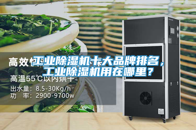 工業(yè)除濕機(jī)十大品牌排名，工業(yè)除濕機(jī)用在哪里？