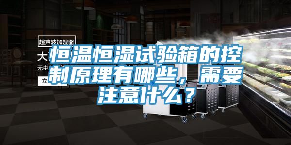 恒溫恒濕試驗(yàn)箱的控制原理有哪些，需要注意什么？