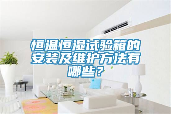 恒溫恒濕試驗(yàn)箱的安裝及維護(hù)方法有哪些？