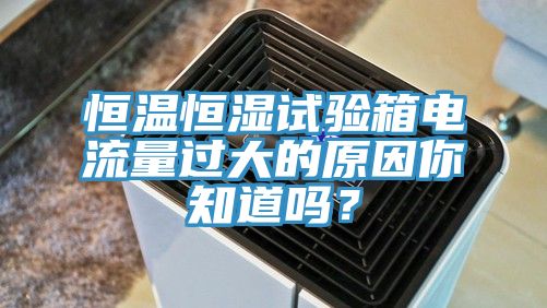 恒溫恒濕試驗(yàn)箱電流量過(guò)大的原因你知道嗎？