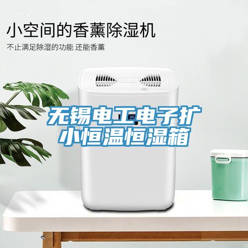 無錫電工電子擴(kuò)小恒溫恒濕箱