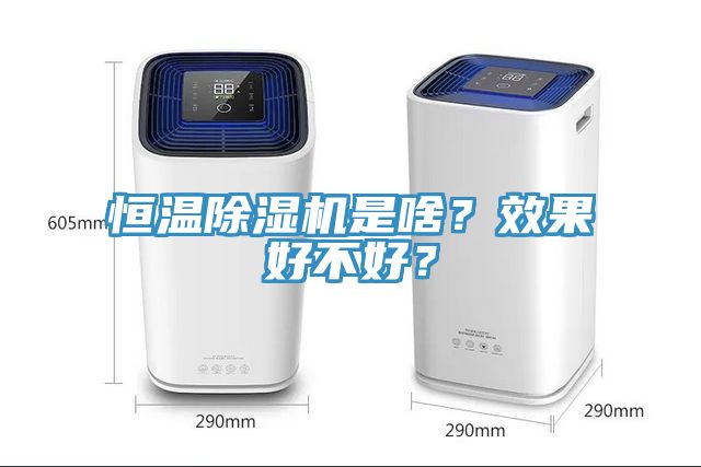 恒溫除濕機是啥？效果好不好？