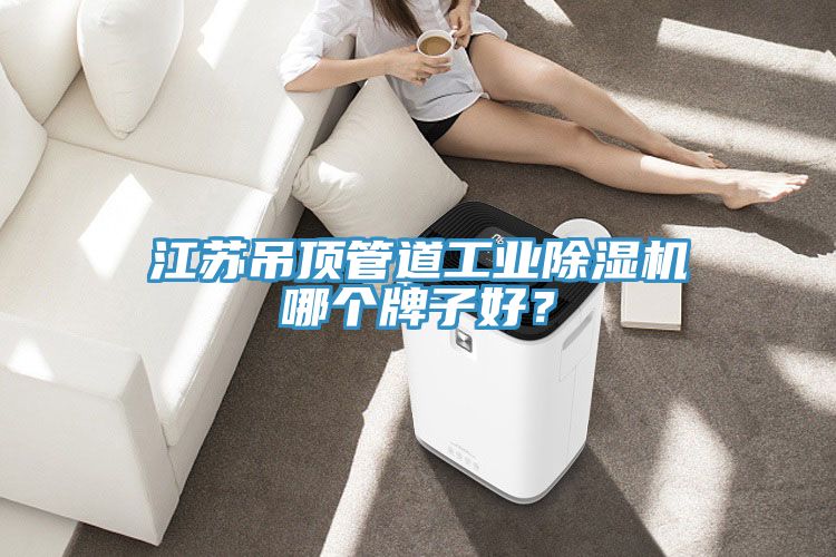 江蘇吊頂管道工業(yè)除濕機哪個牌子好？