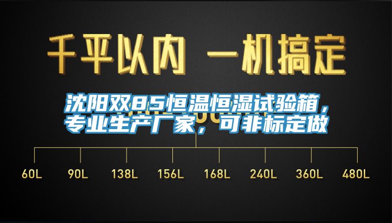 沈陽雙85恒溫恒濕試驗(yàn)箱，專業(yè)生產(chǎn)廠家，可非標(biāo)定做