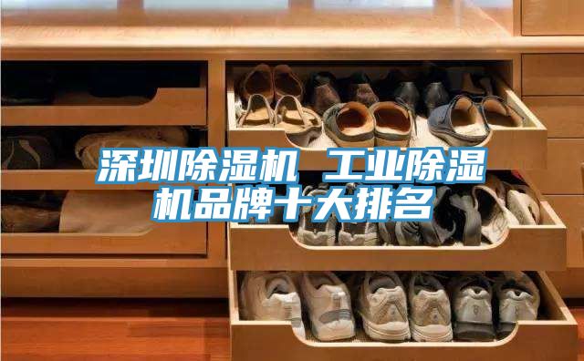 深圳除濕機(jī) 工業(yè)除濕機(jī)品牌十大排名