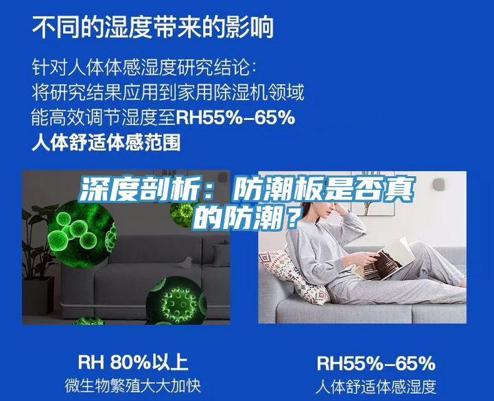 深度剖析：防潮板是否真的防潮？