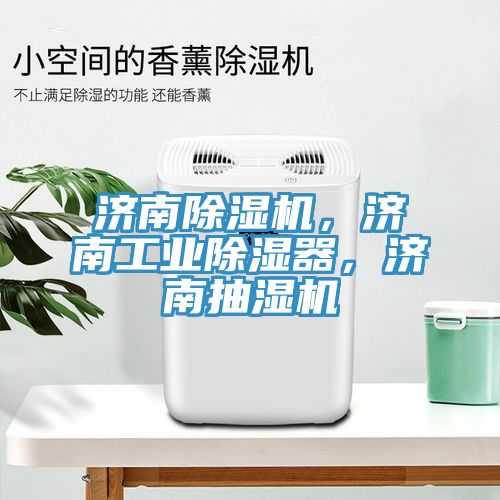 濟南除濕機，濟南工業(yè)除濕器，濟南抽濕機