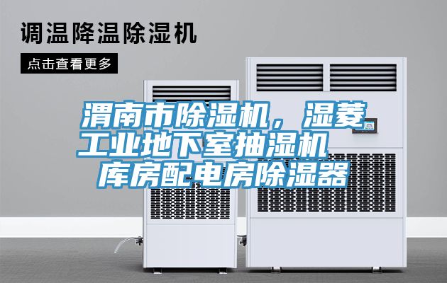 渭南市除濕機，濕菱工業(yè)地下室抽濕機  庫房配電房除濕器