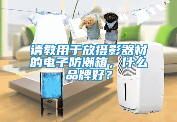 請教用于放攝影器材的電子防潮箱，什么品牌好？