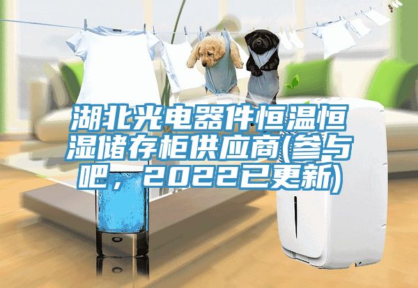 湖北光電器件恒溫恒濕儲(chǔ)存柜供應(yīng)商(參與吧，2022已更新)