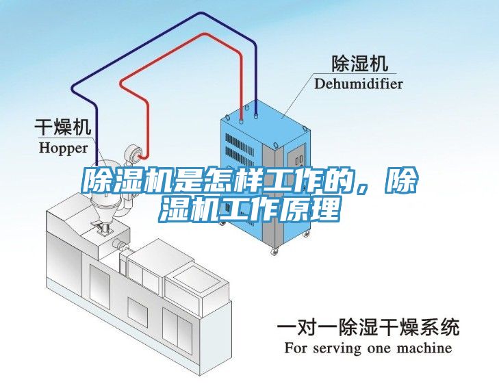 除濕機是怎樣工作的，除濕機工作原理