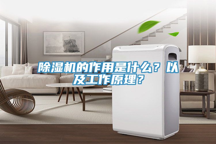 除濕機(jī)的作用是什么？以及工作原理？