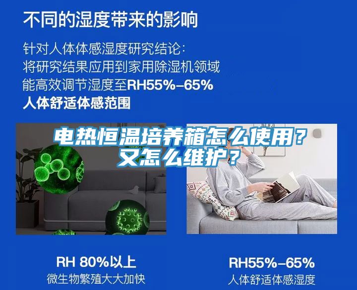 電熱恒溫培養(yǎng)箱怎么使用？又怎么維護(hù)？