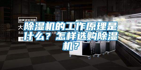 除濕機的工作原理是什么？怎樣選購除濕機？